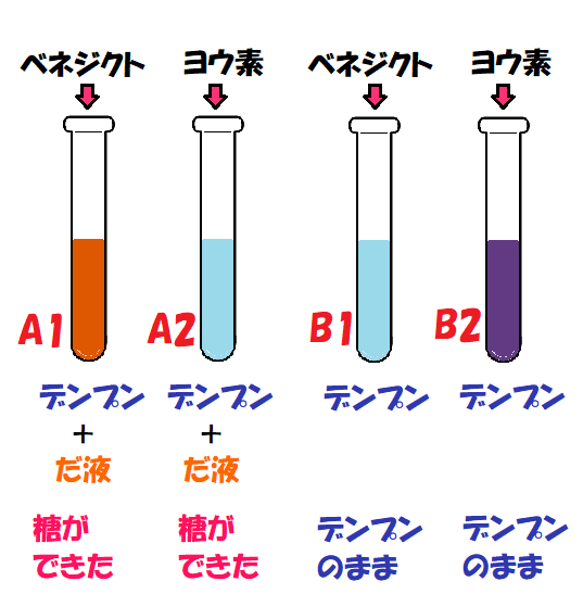 デンプン入りの試験管４つだ液と指示薬入り色の変化の結果