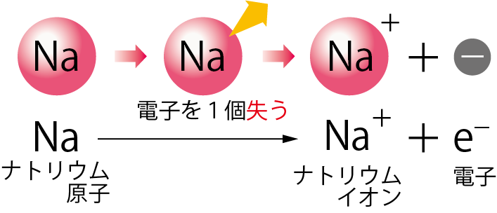 ナトリウム原子がナトリウムイオンになる変化