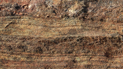 化石がある地層